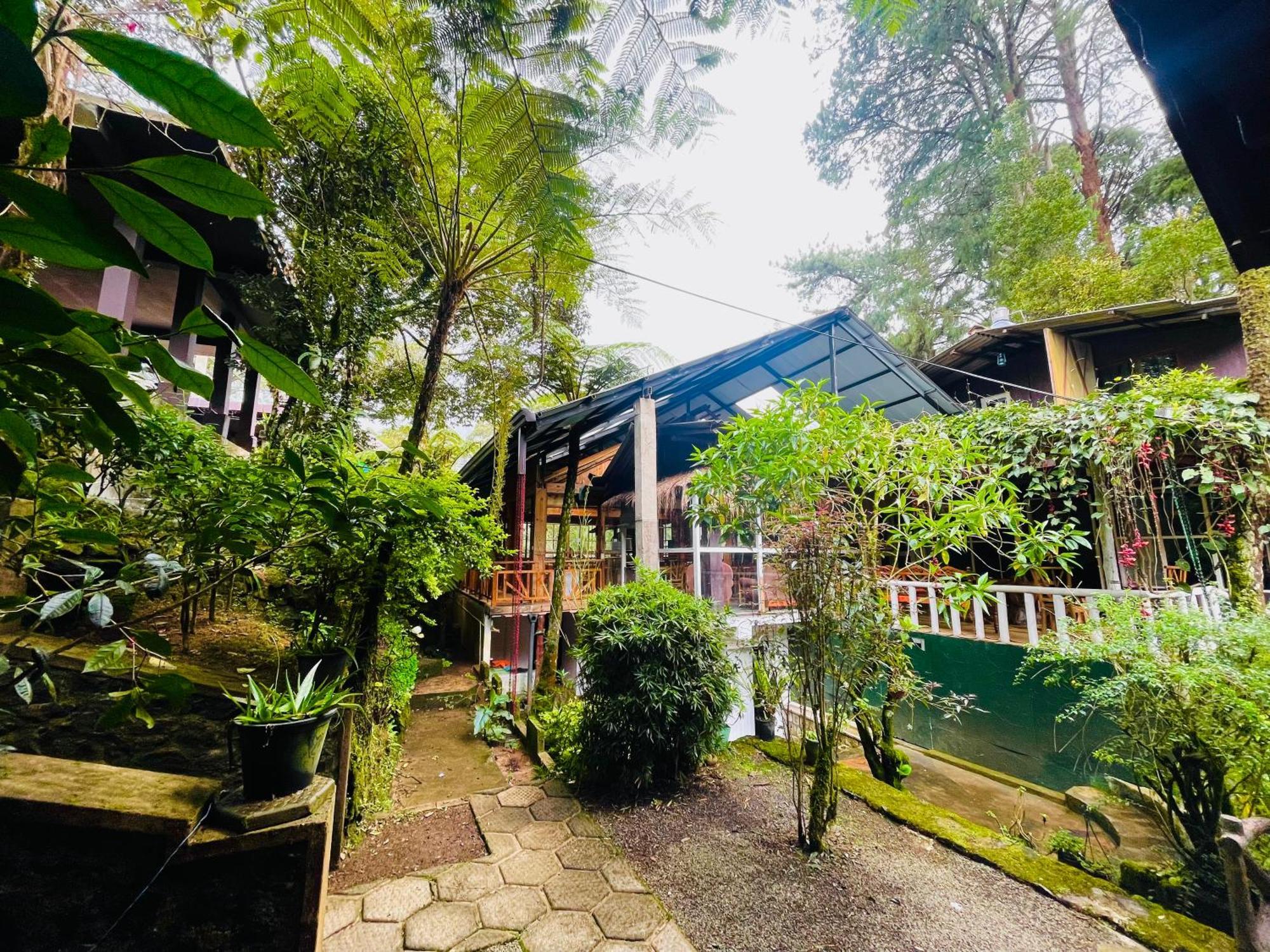 King Fern Cottage Nuwara Eliya Dış mekan fotoğraf