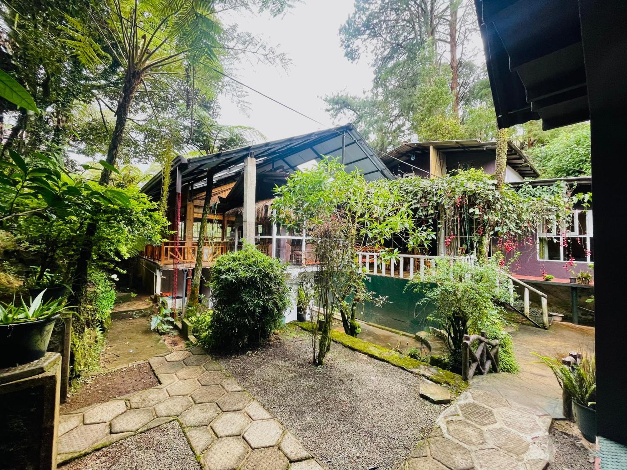 King Fern Cottage Nuwara Eliya Dış mekan fotoğraf