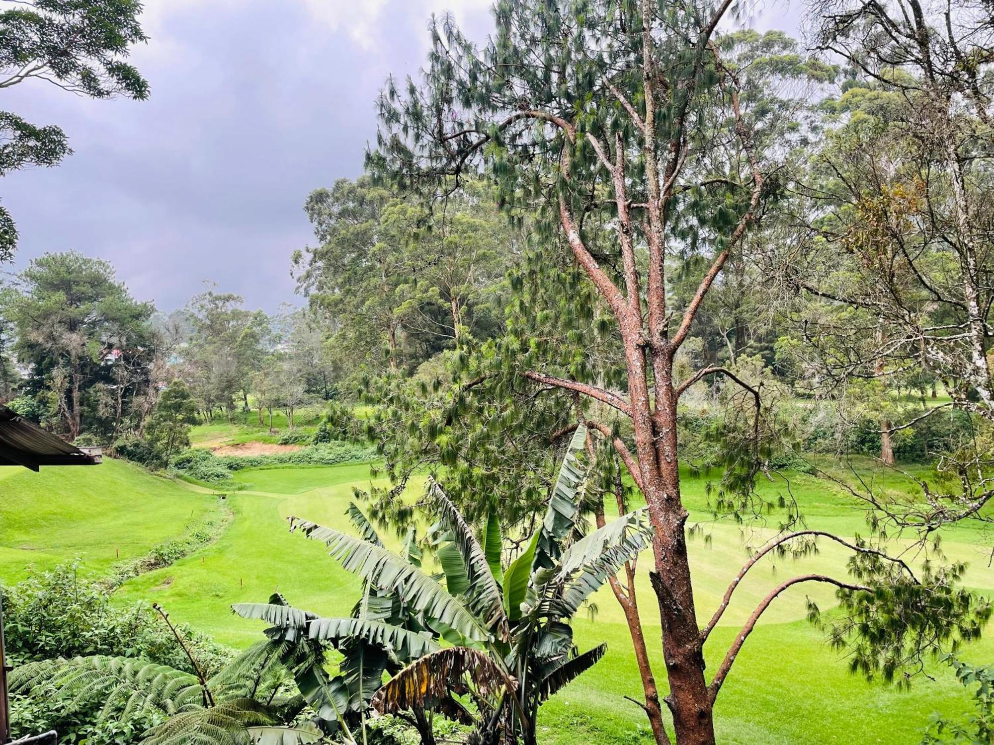 King Fern Cottage Nuwara Eliya Dış mekan fotoğraf