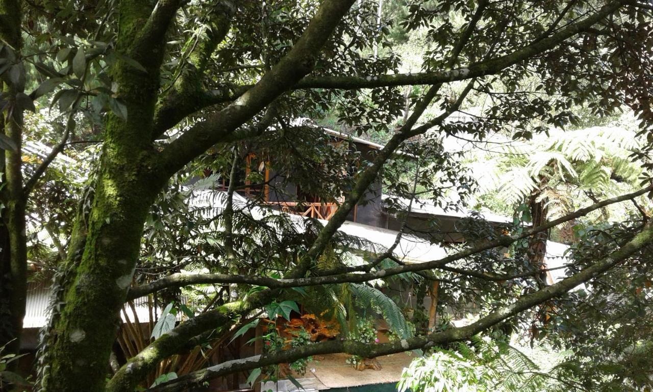 King Fern Cottage Nuwara Eliya Dış mekan fotoğraf
