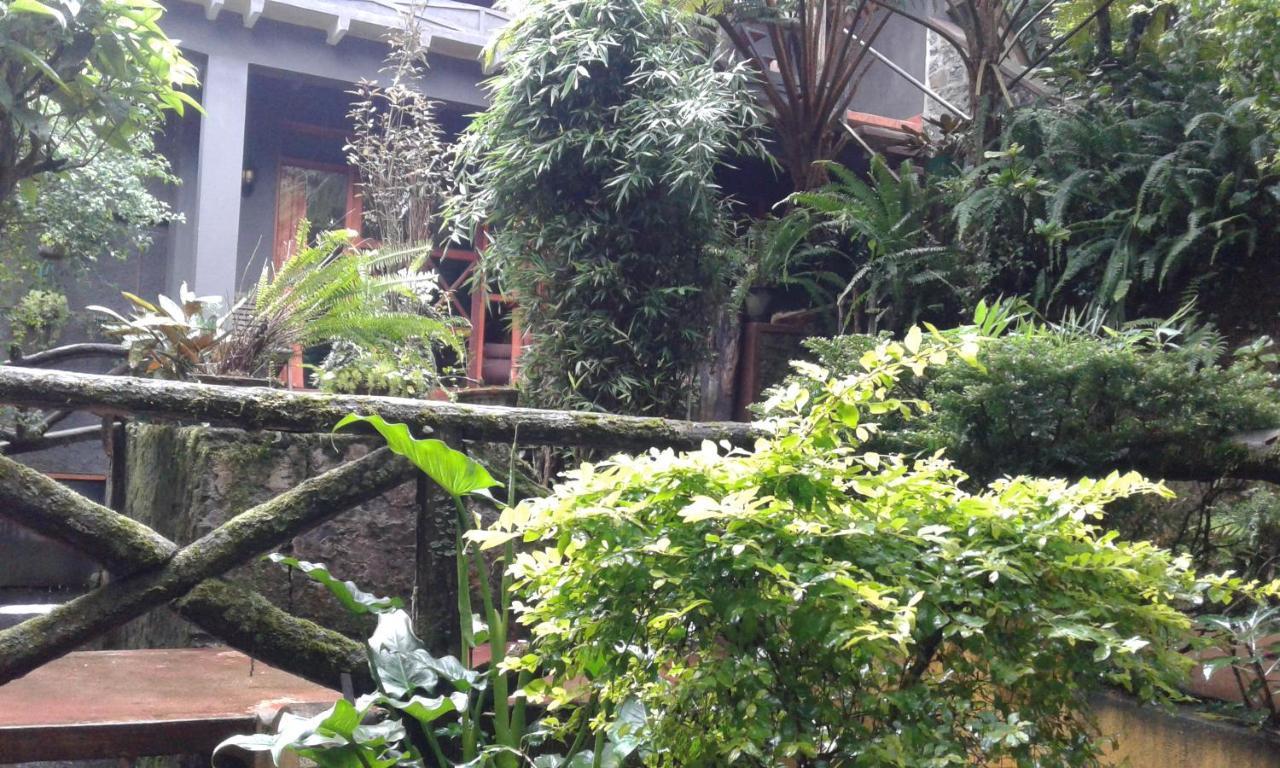 King Fern Cottage Nuwara Eliya Dış mekan fotoğraf