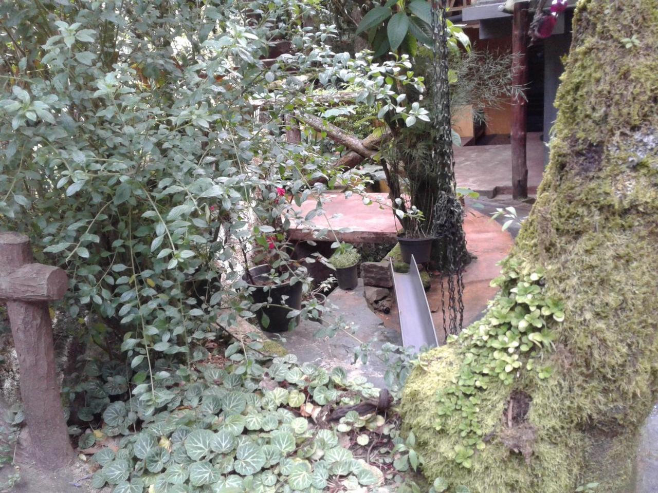 King Fern Cottage Nuwara Eliya Dış mekan fotoğraf