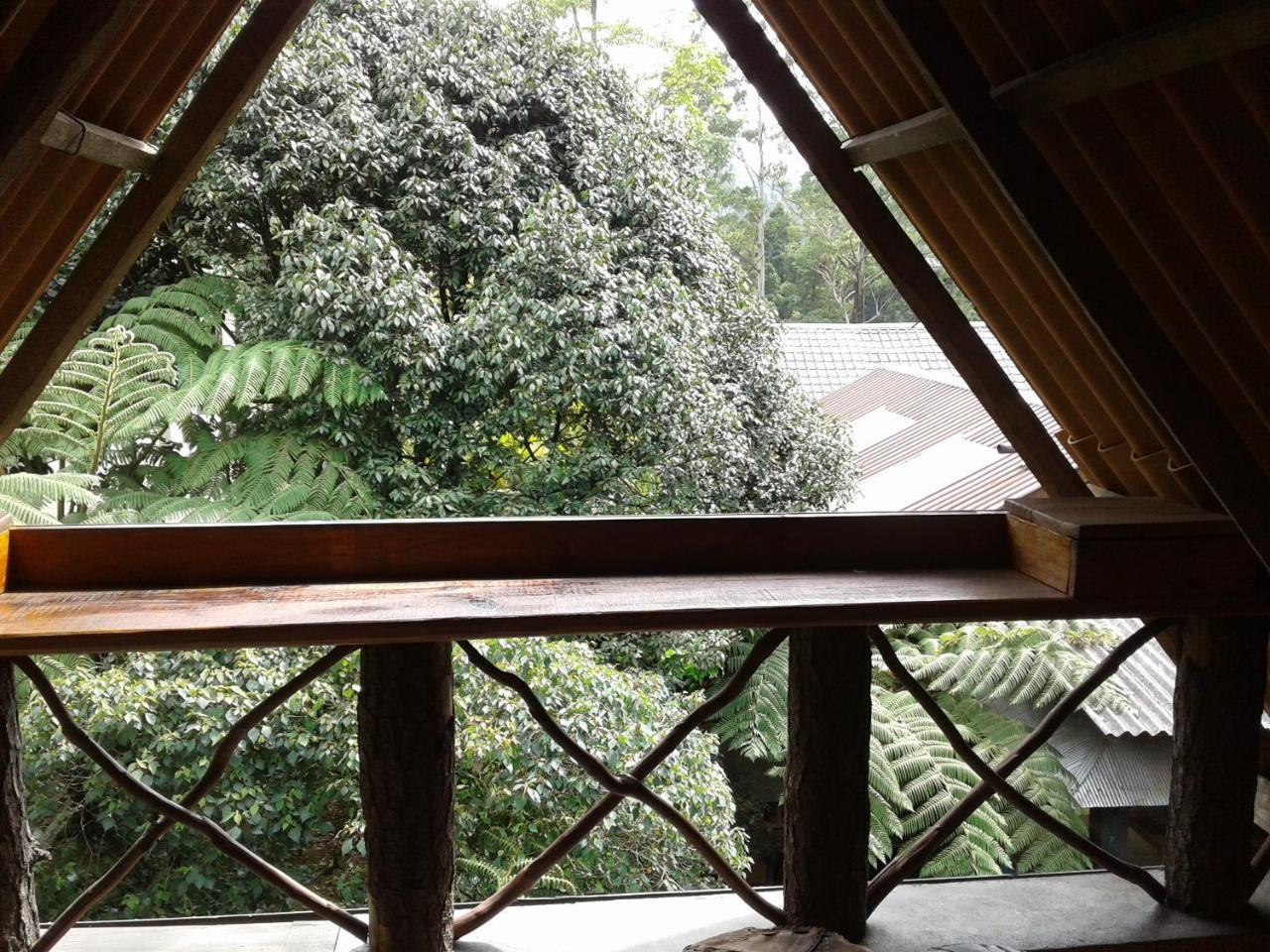King Fern Cottage Nuwara Eliya Dış mekan fotoğraf