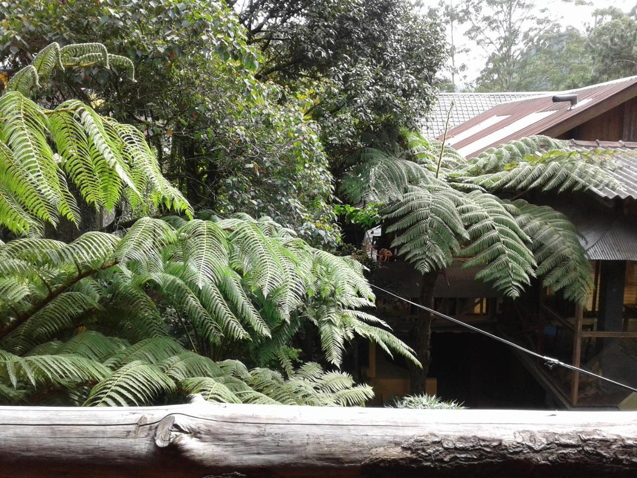 King Fern Cottage Nuwara Eliya Dış mekan fotoğraf